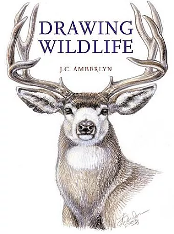 Drawing Wildlife cover