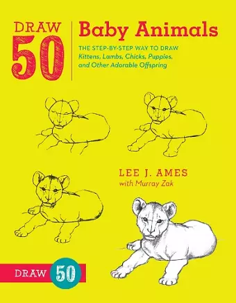 Draw 50 Baby Animals cover