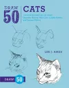 Draw 50 Cats packaging