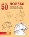 Draw 50 Horses packaging