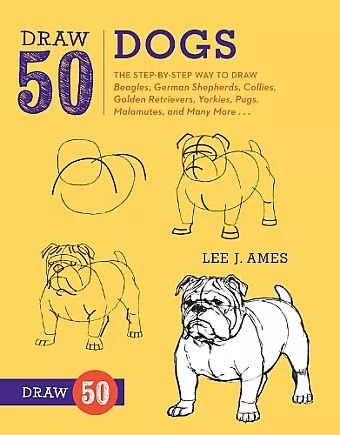 Draw 50 Dogs cover