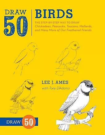 Draw 50 Birds cover