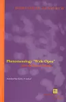 Phenomenology "Wide Open" cover