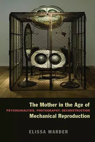 The Mother in the Age of Mechanical Reproduction cover