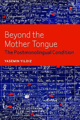 Beyond the Mother Tongue cover