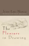 The Pleasure in Drawing cover