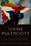 Divine Multiplicity cover