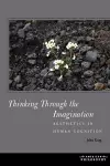 Thinking Through the Imagination cover