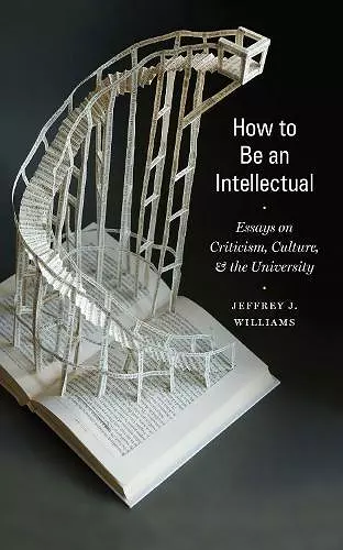 How to Be an Intellectual cover