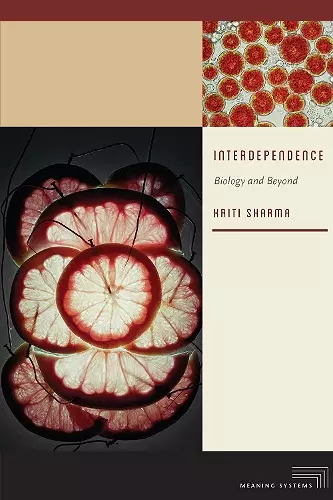 Interdependence cover