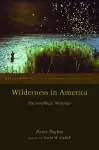 Wilderness in America cover