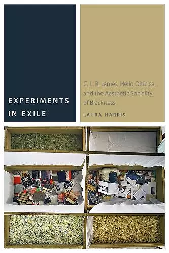 Experiments in Exile cover