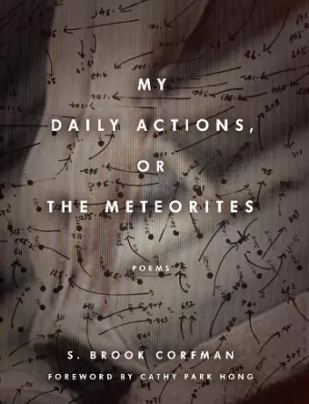 My Daily Actions, or The Meteorites cover
