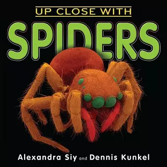 Up Close With Spiders cover