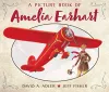 A Picture Book of Amelia Earhart cover