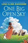 One Big Open Sky cover