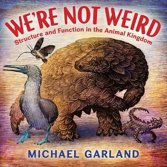 We're Not Weird cover