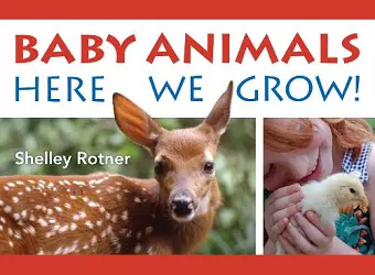 Baby Animals! cover