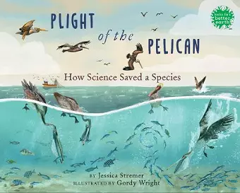 Plight of the Pelican cover