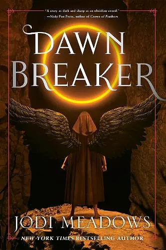 Dawnbreaker cover