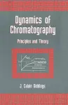 Dynamics of Chromatography cover