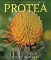 Protea cover