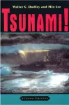 Tsunami! cover