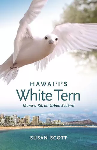 Hawai‘i’s White Tern cover