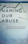 Naming Our Abuse cover