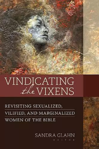 Vindicating the Vixens cover