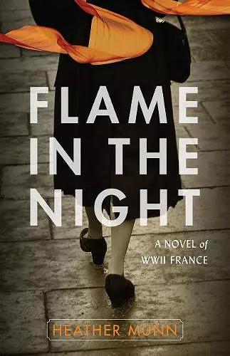 Flame in the Night – A Novel of World War II France cover