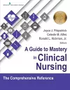 A Guide to Mastery in Clinical Nursing cover