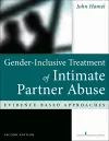 Gender-Inclusive Treatment of Intimate Partner Abuse cover