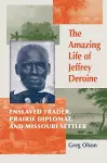 The Amazing Life of Jeffrey Deroine cover