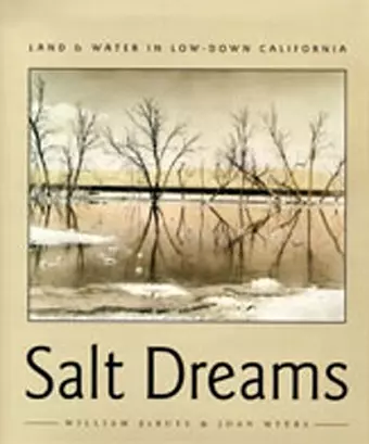 Salt Dreams cover