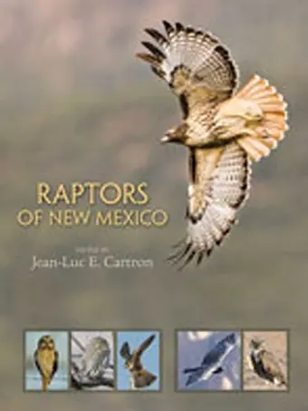 Raptors of New Mexico cover