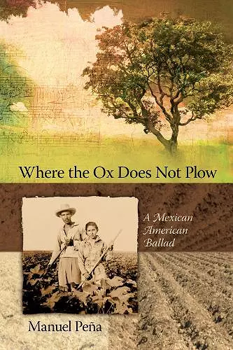 Where the Ox Does Not Plow cover