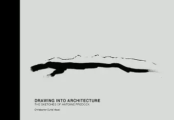 Drawing into Architecture cover