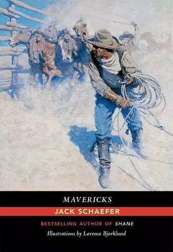 Mavericks cover