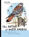 The Raptors of North America cover