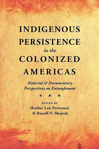 Indigenous Persistence in the Colonized Americas cover