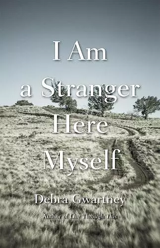 I Am a Stranger Here Myself cover