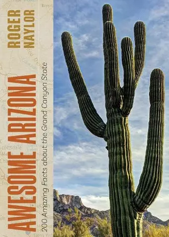 Awesome Arizona cover