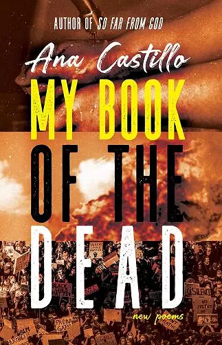 My Book of the Dead cover