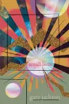 Small Lives cover