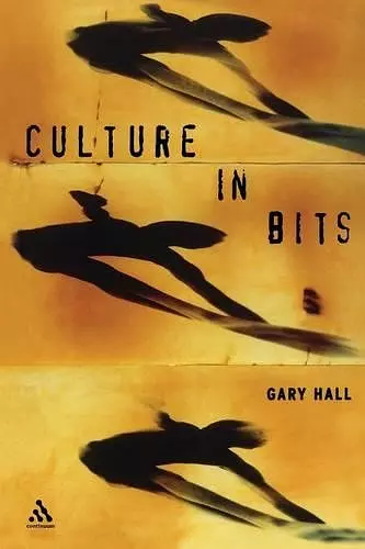 Culture in Bits cover