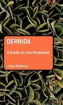 Derrida: A Guide for the Perplexed cover