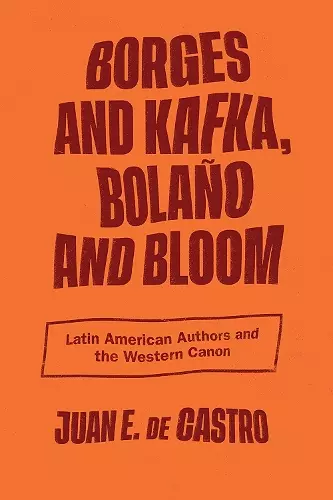 Borges and Kafka, Bolaño and Bloom cover
