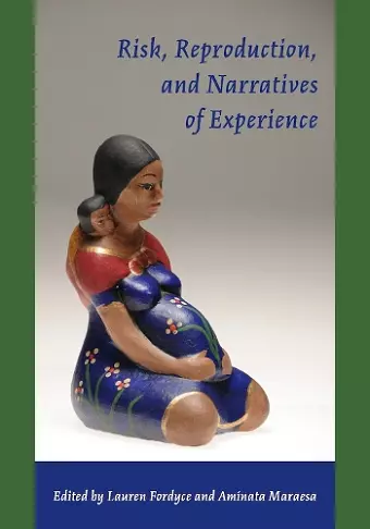 Risk, Reproduction and Narratives of Experience cover