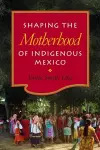 Shaping the Motherhood of Indigenous Mexico cover